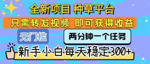 全新项目 种草平台 只需要转发任务视频 即可获得收益 新手小白每天300+-庄子聊项目