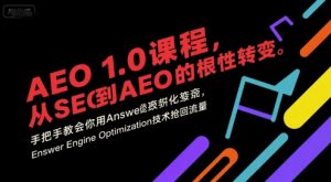 AEO 1.0 课程，从SEO到AE0的基命性转变，手把手教会你用AnswerEngineOptimization技术抢回流量-庄子聊项目