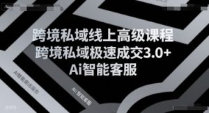 跨境私域线上高级课程，跨境私域极速成交3.0+Ai智能客服-庄子聊项目