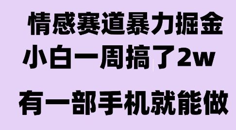 情感暴力掘金项目，新人操作一周挣了2W，长期稳定小白可做【揭秘】-庄子聊项目