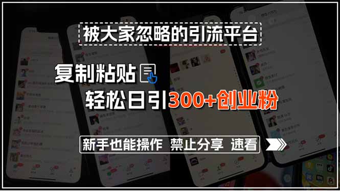 被大家忽略的引流平台，复制粘贴轻松日引300+创业粉，新手也能操作，禁…-庄子聊项目