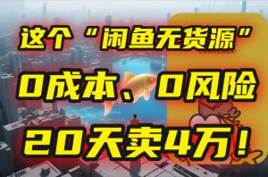 别再瞎忙了！这个“闲鱼无货源”玩法，0成本、0风险，我20天卖4万！-庄子聊项目