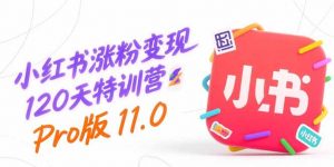 小红书涨粉变现120天特训营Pro版11.0：从0到1掌握平台运营,内容制作和变现-庄子聊项目