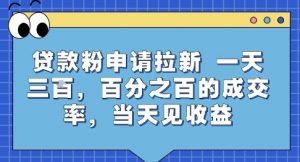 贷款粉申请拉新,一天三张,百分之百的成交率,当天见收益【揭秘】-庄子聊项目