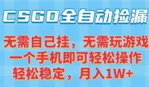 CSGO自动捡漏项目，最新独家玩法，一个手机可操作，新手小白轻松月入1W+，操作简单易上手【揭秘】-庄子聊项目