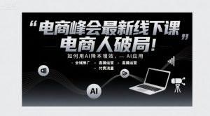 电商峰会最新线下课,电商人破局,如何用AI降本增效,AI应用-全域推广-直播运营-付费流量-庄子聊项目