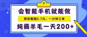 2025年零撸手机项目，二十秒一单，纯薅羊毛，一天200+做就有【揭秘】-庄子聊项目