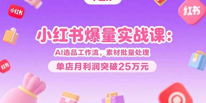 小红书爆量实战课：AI选品工作流，素材批量处理，单店月利润突破25万元-庄子聊项目
