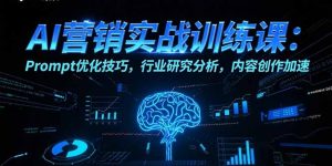 AI营销实战训练课：Prompt优化技巧，行业研究分析，内容创作加速-庄子聊项目