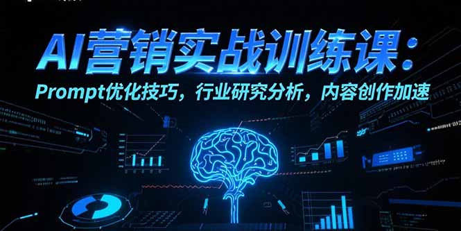 AI营销实战训练课：Prompt优化技巧，行业研究分析，内容创作加速-庄子聊项目
