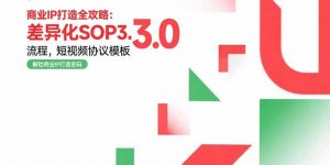 商业IP打造全攻略：差异化SOP3.0流程，短视频协议模板，婚恋项目实战案例-庄子聊项目