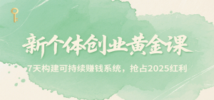 新个体创业黄金课，7天构建可持续赚钱系统，抢占2025红利-庄子聊项目