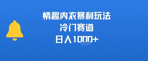 情趣内衣暴利玩法，冷门赛道，日入1k+-庄子聊项目
