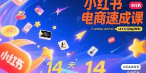 小红书虚拟电商速成课：个人定位分析，原创产品开发，14天变现路径规划-庄子聊项目