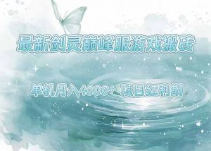 最新剑灵巅峰服游戏搬砖,项目红利期,单机稳定4000+操作简单好上手-庄子聊项目