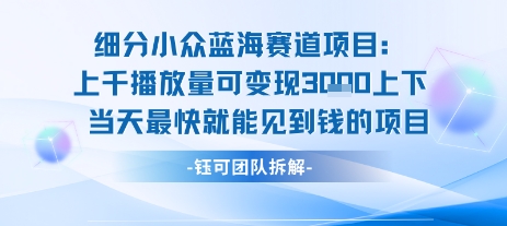 小众蓝海赛道项目：当天变现1k+适合新手操作 +适合长期玩-庄子聊项目