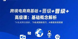 跨境电商基础+晋级+高级课：基础概念解析,Tk私域涨粉技巧,AI客服系统搭建-庄子聊项目