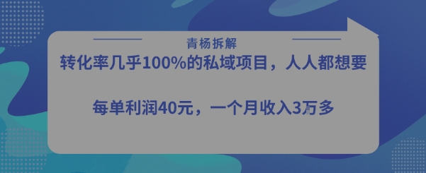 转化率最高的私域项目，每单利润40-50米，月入过1w-庄子聊项目