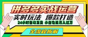 拼多多最新实战运营高投产:长久稳定项目,单店利润一天三位数-庄子聊项目