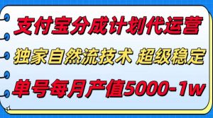 支付宝分成计划代运营,独家自然流技术,收益稳定,单号月产5000+-庄子聊项目