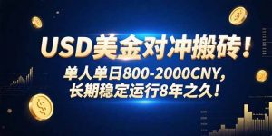 USD美金对冲搬砖!单人单日800-2000CNY，长期稳定运行8年之久!-庄子聊项目