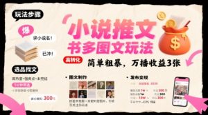 小说推文小红书多图文玩法，简单粗暴，万播收益3张-庄子聊项目