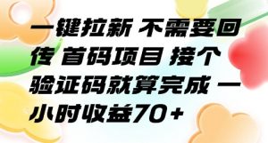 一键拉新 不需要回传 首码项目 接个验证码就算完成 一小时收益70+【揭秘】-庄子聊项目
