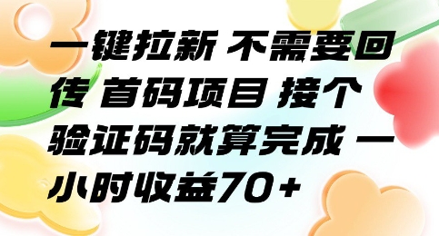一键拉新 不需要回传 首码项目 接个验证码就算完成 一小时收益70+【揭秘】-庄子聊项目