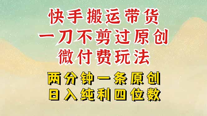 快手黑科技搬运带货，一刀不剪过原创，微付费投流玩法，轻松日入四位数…-庄子聊项目