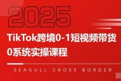TikTok跨境0-1短视频带货，系统拆解TikTok跨境带货全链路，实现跨境可持续盈利-庄子聊项目