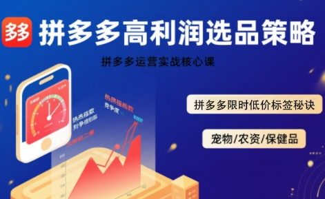 拼多多选品暴利技术实战课，拼多多高利润选品策略，拼多多限时低价标签秘诀-庄子聊项目