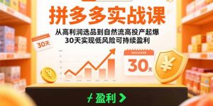 拼多多实战课:从高利润选品到自然流高投产起爆 30天实现低风险可持续盈利-庄子聊项目