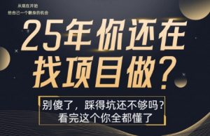 25年，你还在疯狂的找项目吗？别傻了，看完这个你都懂了【揭秘】-庄子聊项目