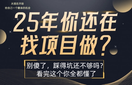 25年，你还在疯狂的找项目吗？别傻了，看完这个你都懂了【揭秘】-庄子聊项目