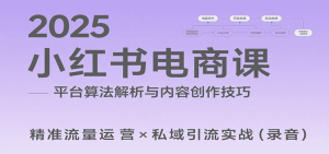 2025小红书电商课：解析算法，创作高转化内容，助力卖家获取流量实现变现(录音)-庄子聊项目