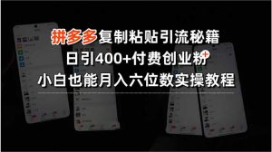 拼多多复制粘贴引流秘籍，日引400+付费创业粉，小白也能月入六位数实操…-庄子聊项目