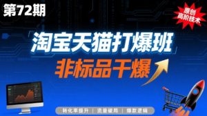 淘宝天猫打爆班原创高阶技术第72期,非标品干爆-庄子聊项目