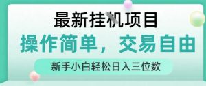 最新挂G项目，人人可上手，操作简单， 每天24小时自动运行轻松日入三位数【揭秘】-庄子聊项目