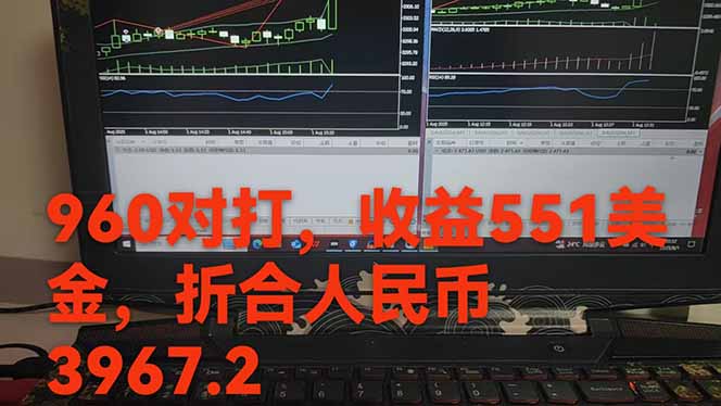 图片[1]-稳定8年的美刀搬砖项目，单人每日收益800—3000.团队4人月入10W+.可线下-庄子聊项目