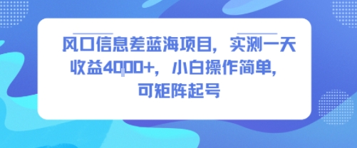 风口信息差蓝海项目，实测一天收益4k+，小白操作简单，可矩阵起号-庄子聊项目
