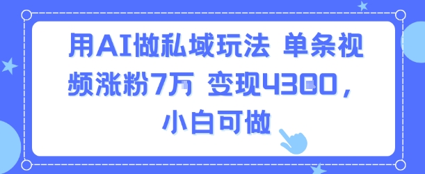 用AI做私域玩法，单条视频涨粉7W变现4.3k，小白可做-庄子聊项目