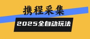 2025携程信息采集全自动玩法,高单价,零人工,全天开干【揭秘】-庄子聊项目