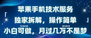 苹果手机技术服务，独家拆解，操作简单，小白可做，月过1W不是梦-庄子聊项目