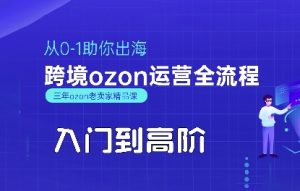 OZON入门到高阶全流程，从0-1助你出海，跨境ozon运营全流程-庄子聊项目