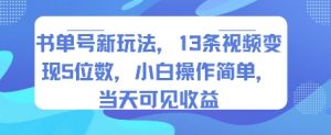 书单号新玩法，13条视频变现5位数，小白操作简单，当天可见收益-庄子聊项目