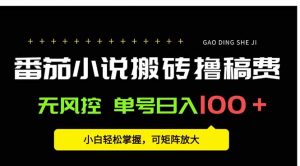 番茄小说创作人搬砖赚稿费，无风控单号日入100＋，小白轻松掌握，可矩…-庄子聊项目