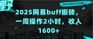 2025网易buff搬砖，一周操作2小时，收入1600+-庄子聊项目