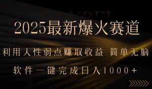 2025最新爆火赛道,利用人生弱点赚取收益,全程一键批量制作,小白轻松…-庄子聊项目