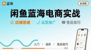 闲鱼蓝海电商实战，店铺搭建运营售后全流程-庄子聊项目