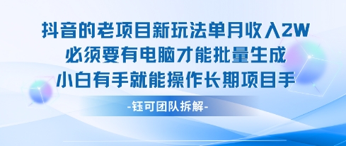 老项目新玩法单月收入2W小白有手就能操作长期项目-庄子聊项目